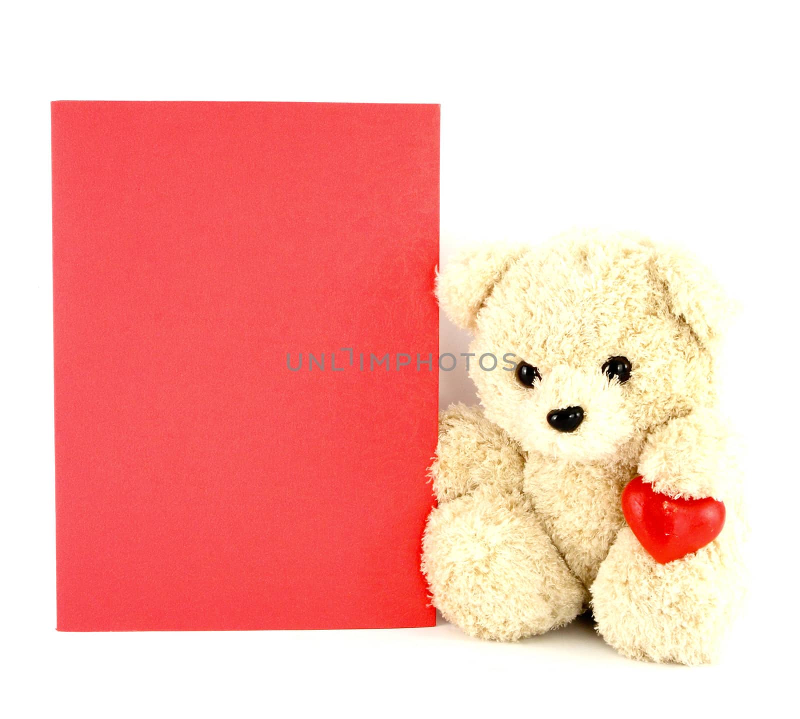 teddy bear toy with a blank card, isolated on white background by geargodz