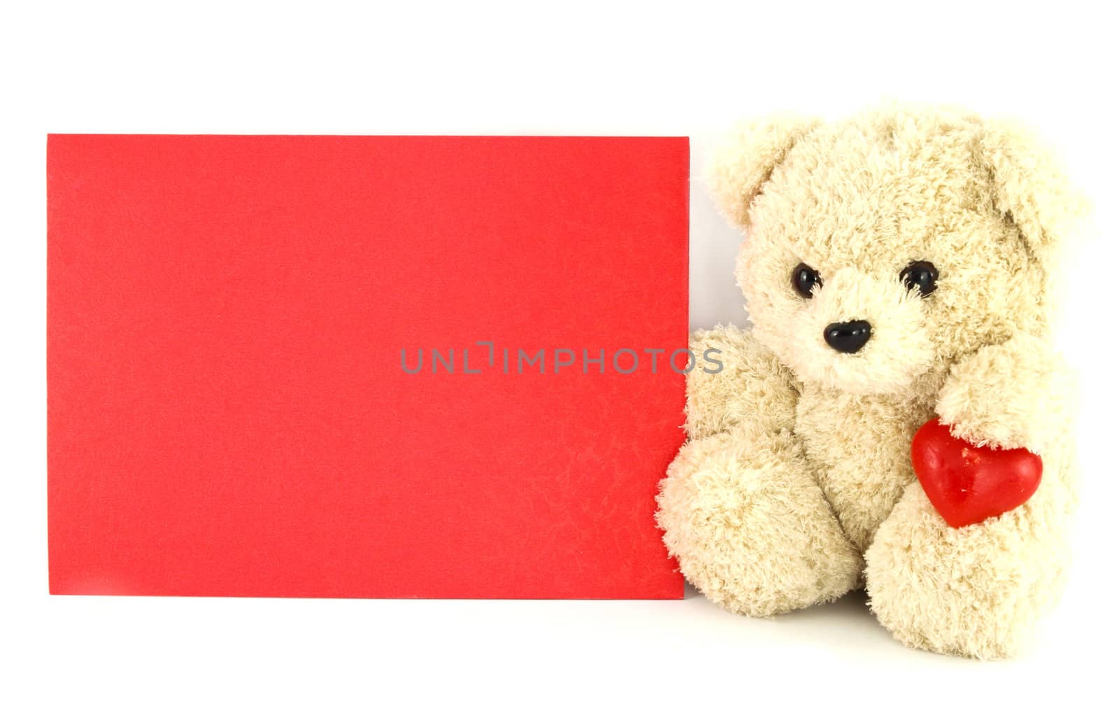 teddy bear toy with a blank card, isolated on white background by geargodz