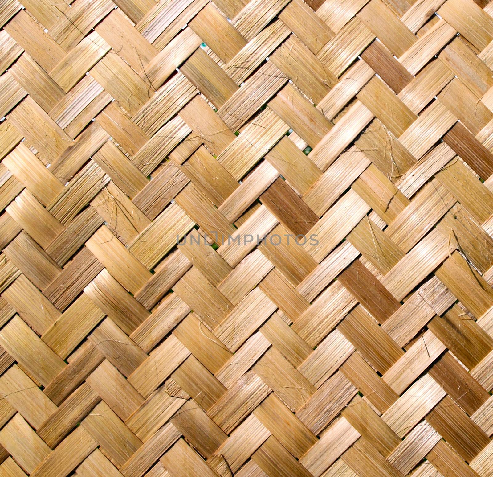 Bamboo wooden texture