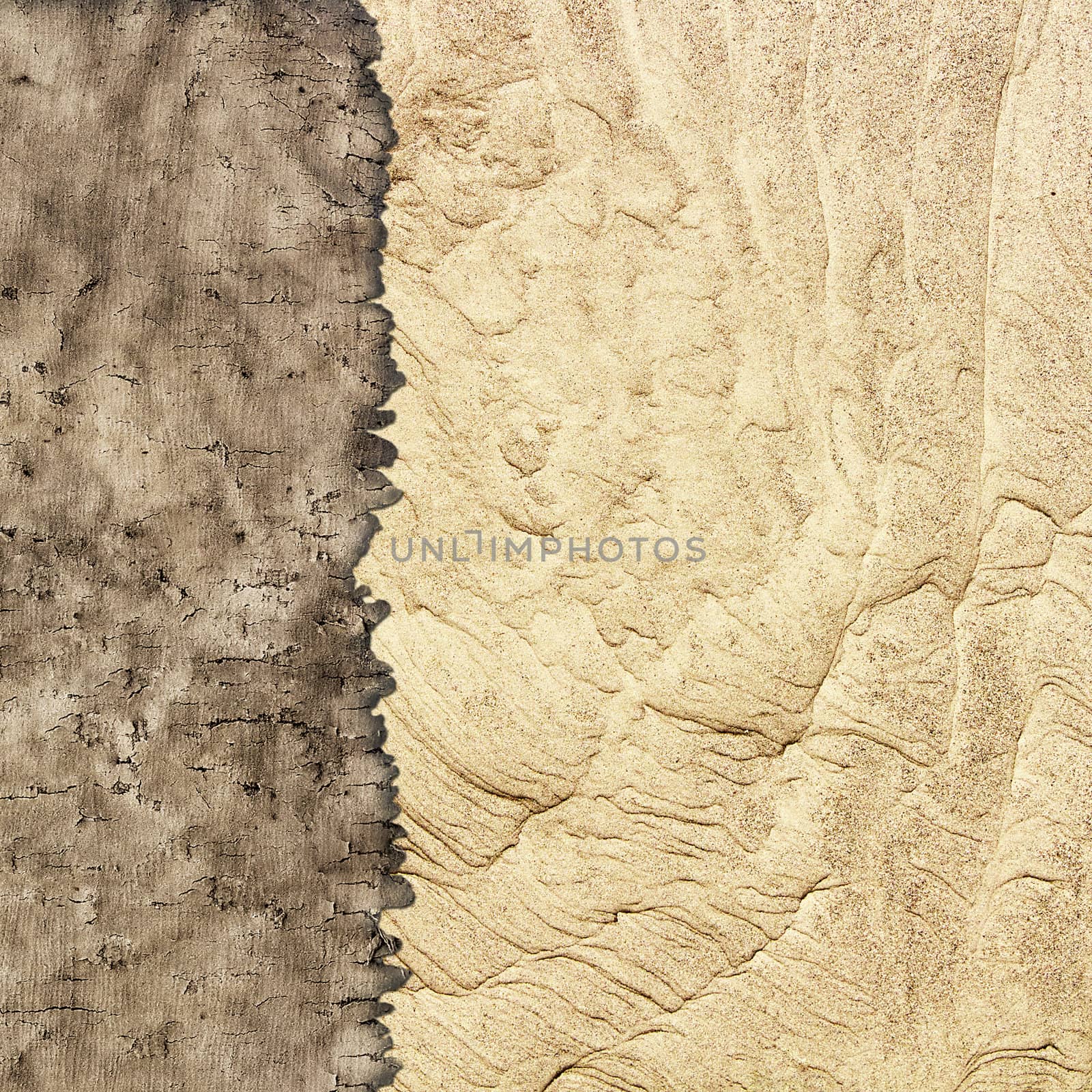 texture of old parchment and sand by Plus69