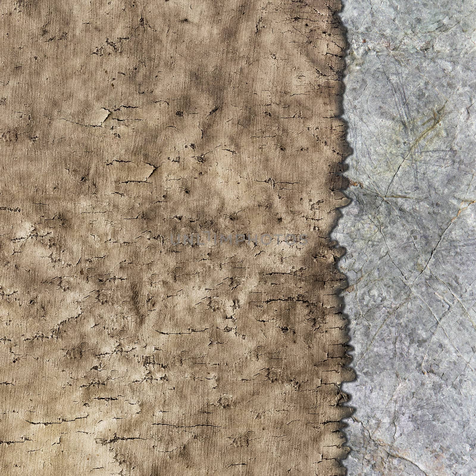 texture of old parchment and stone by Plus69