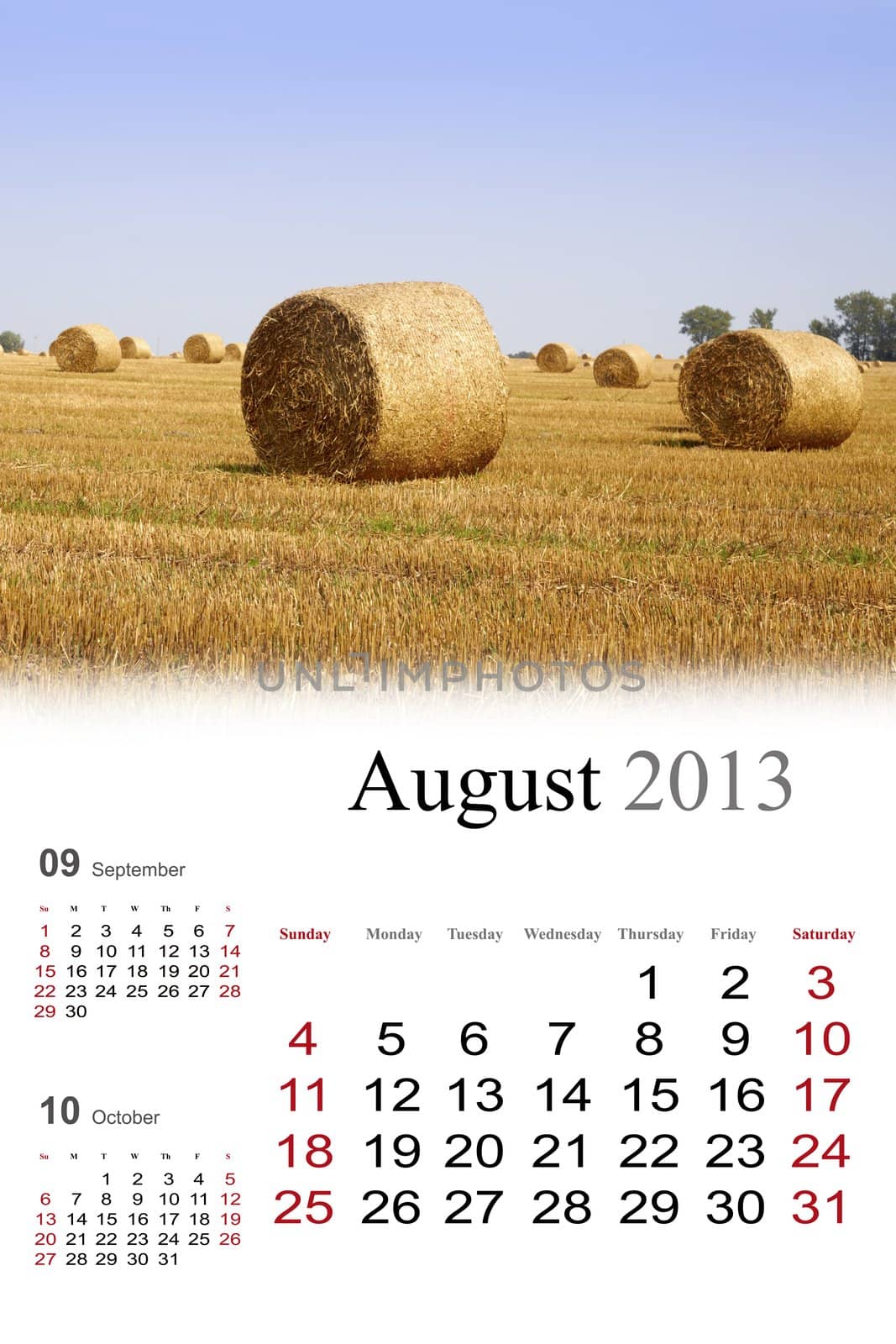 2013 Calendar.August by Nikonas