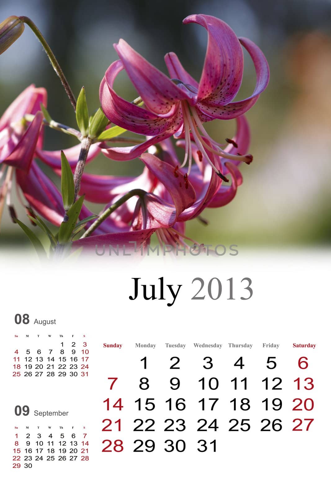 2013 Calendar. July
