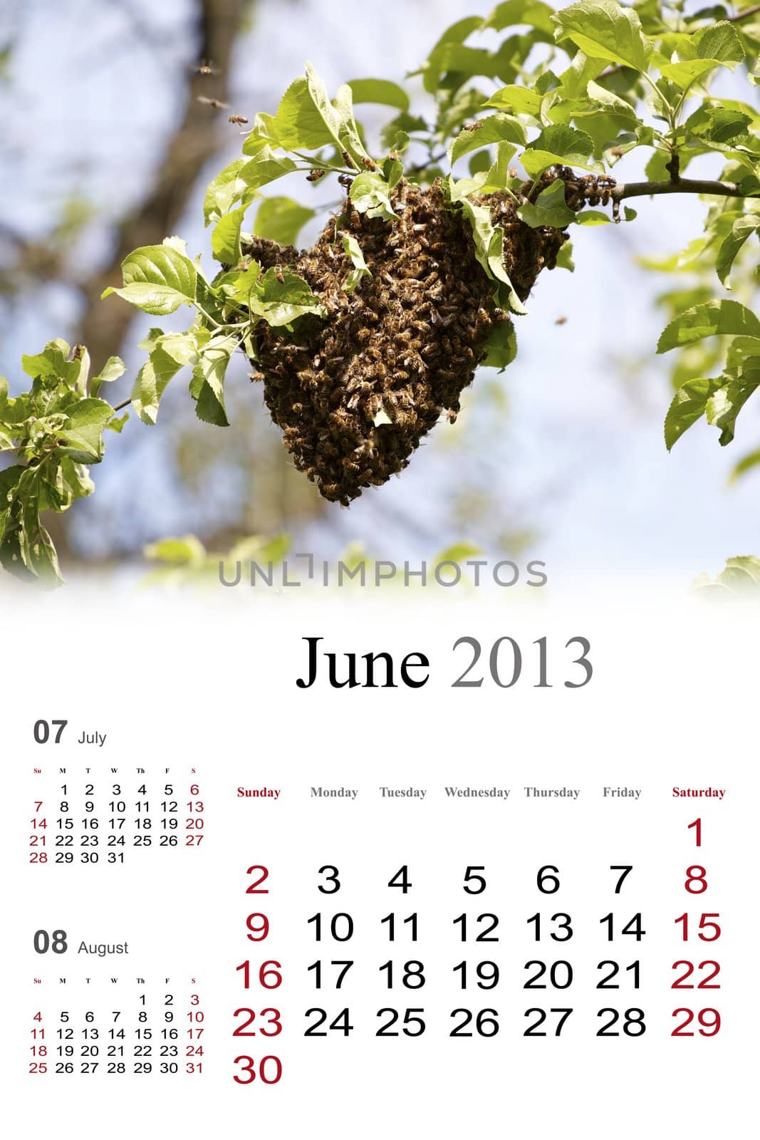 2013 Calendar. June