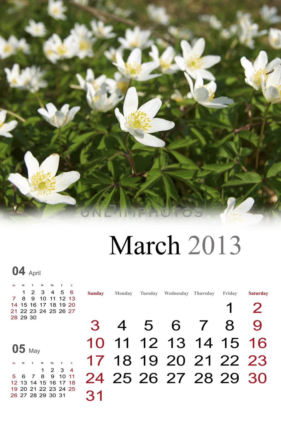 2013 Calendar. March.