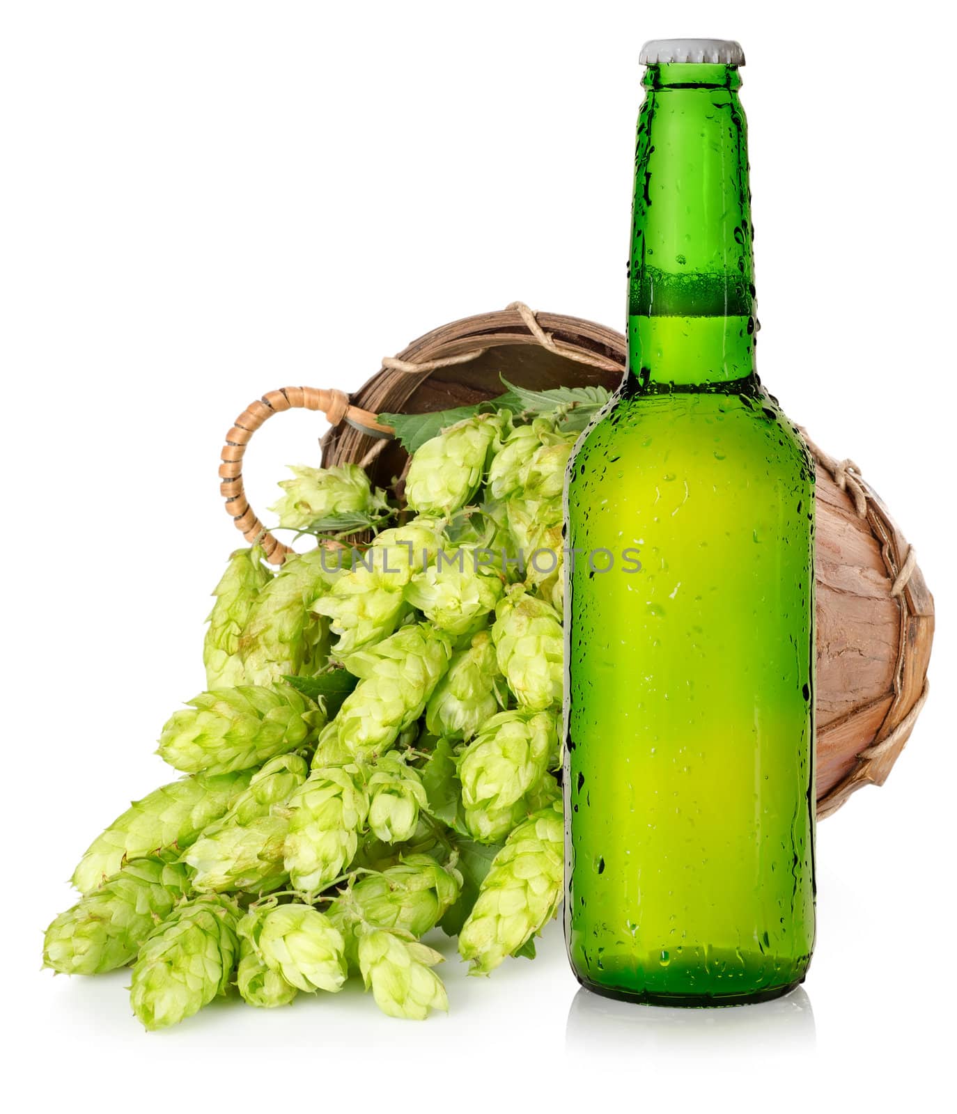 Light beer and hop in basket isolated on white background