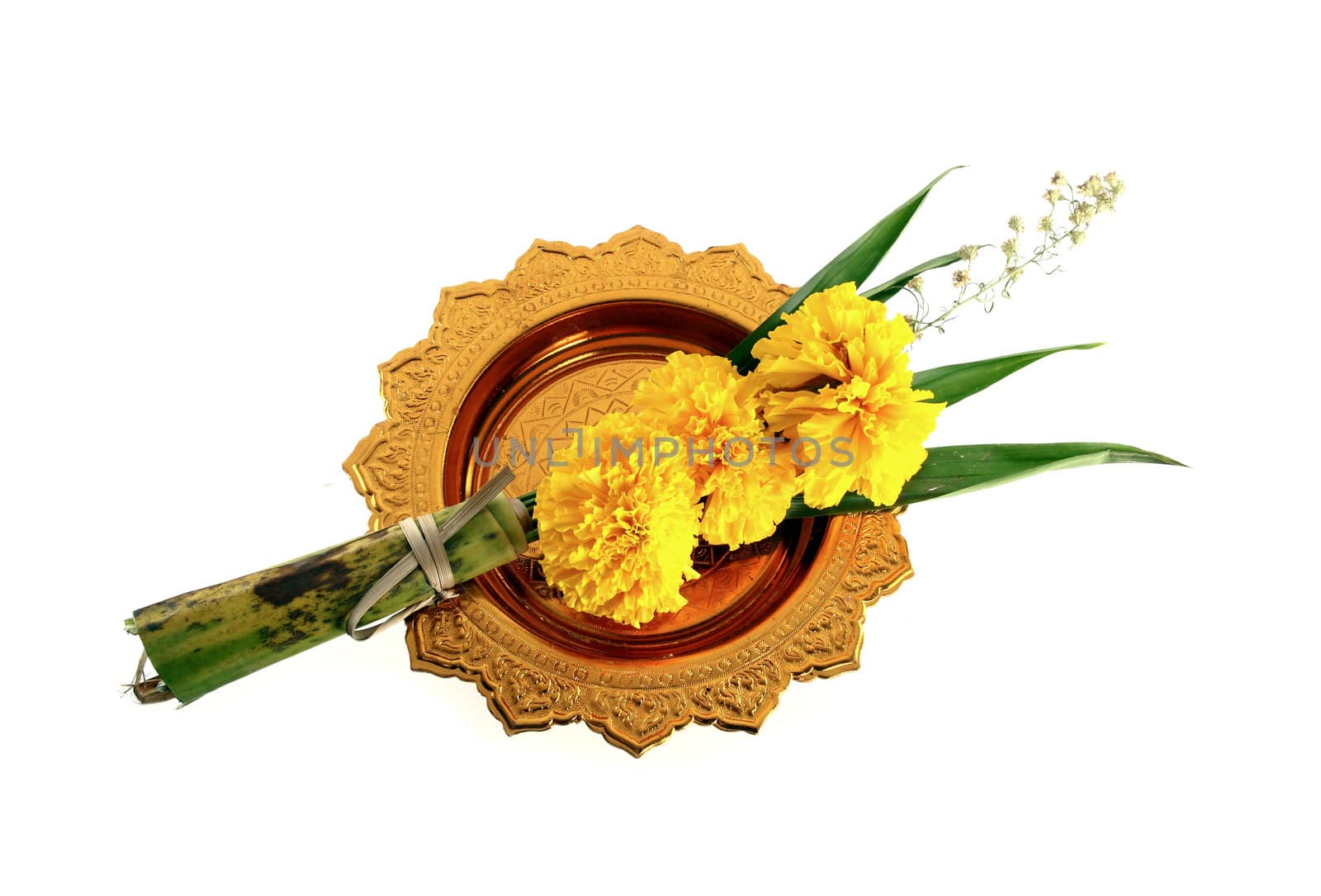 marigold with golden tray on white background