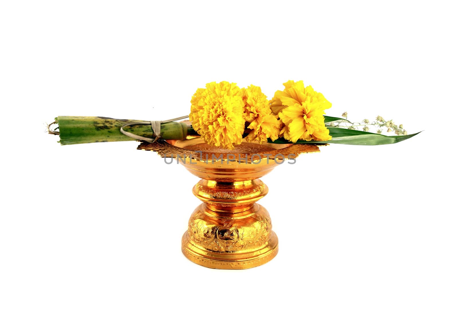 marigold with golden tray on white background