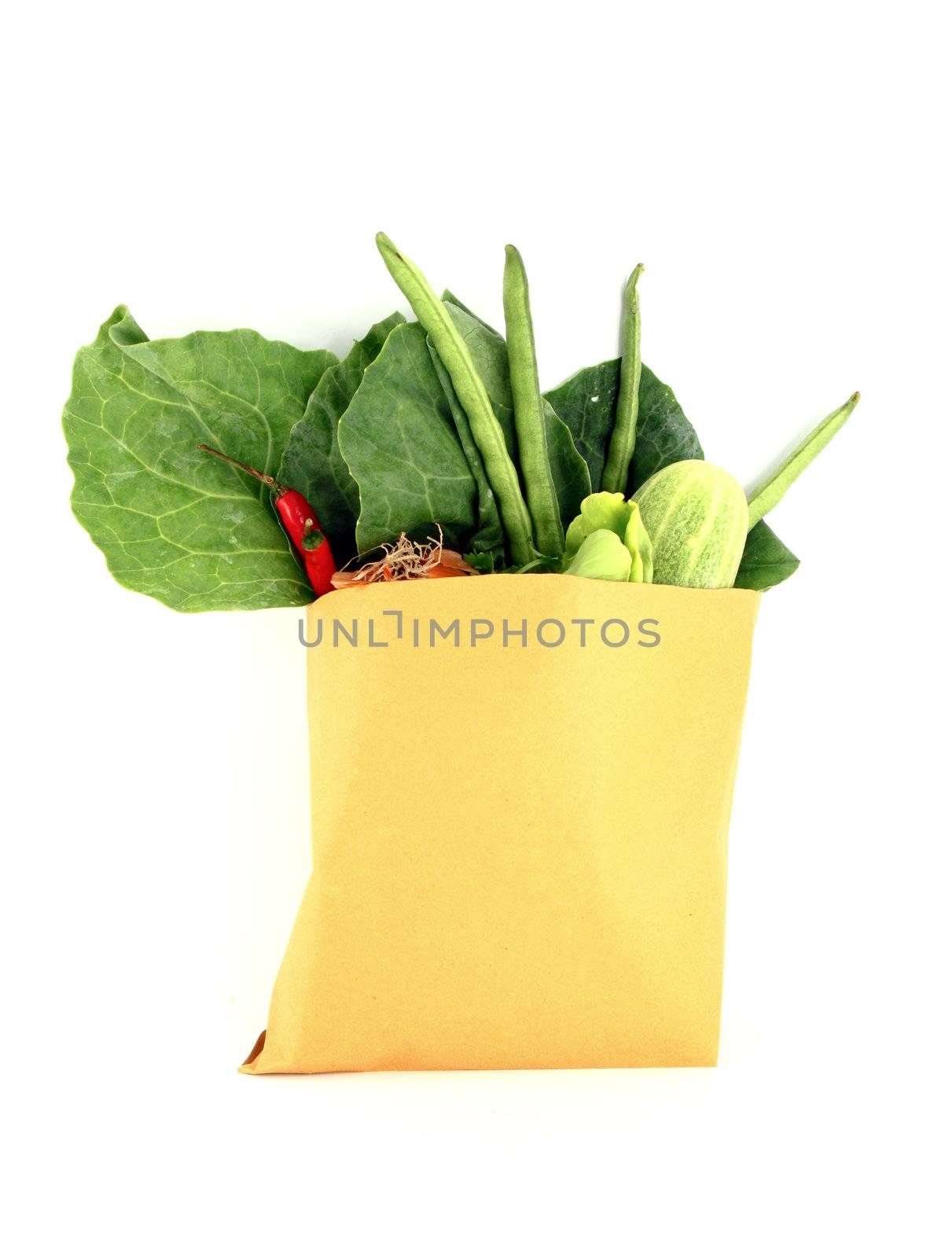 Assorted vegetables in brown bag isolated over white background by geargodz