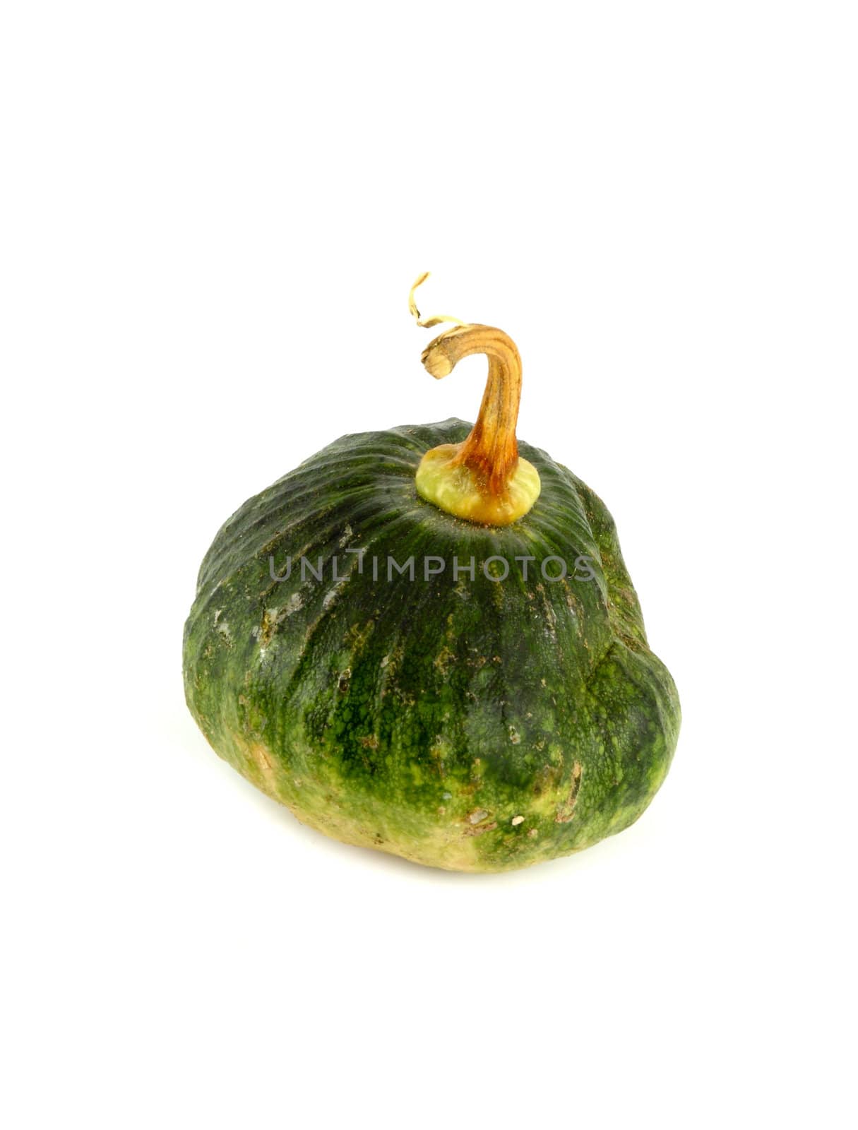 Green pumpkin isolated on white background by geargodz
