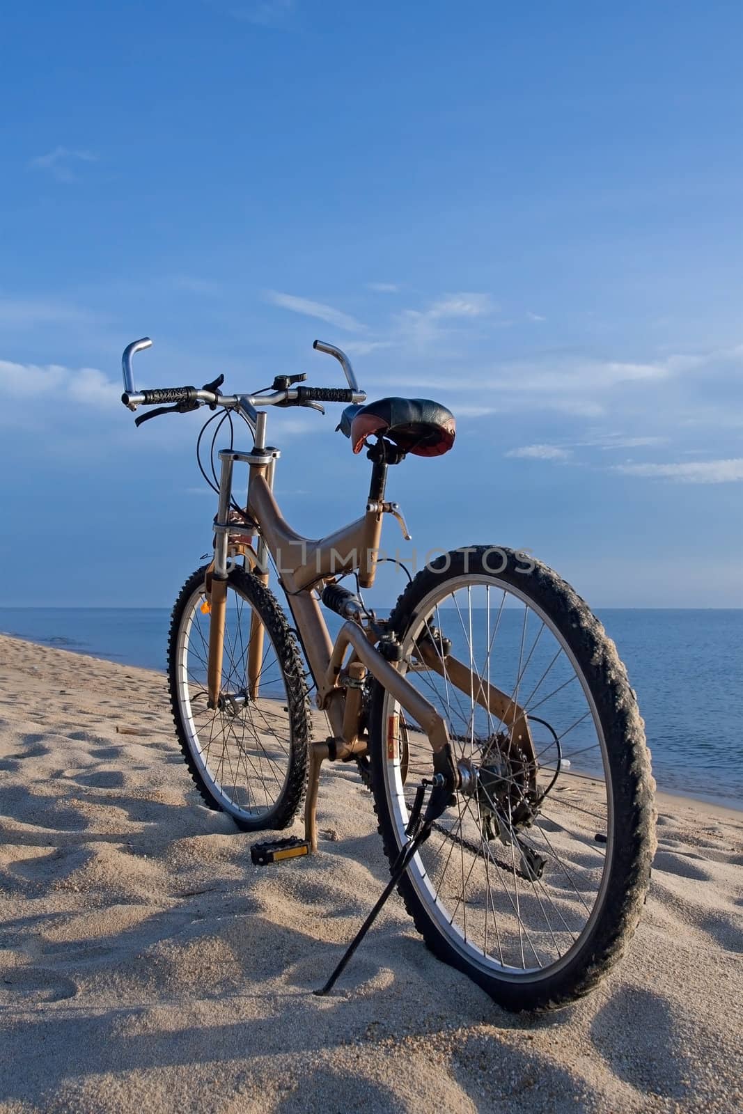 Bicycle at beach