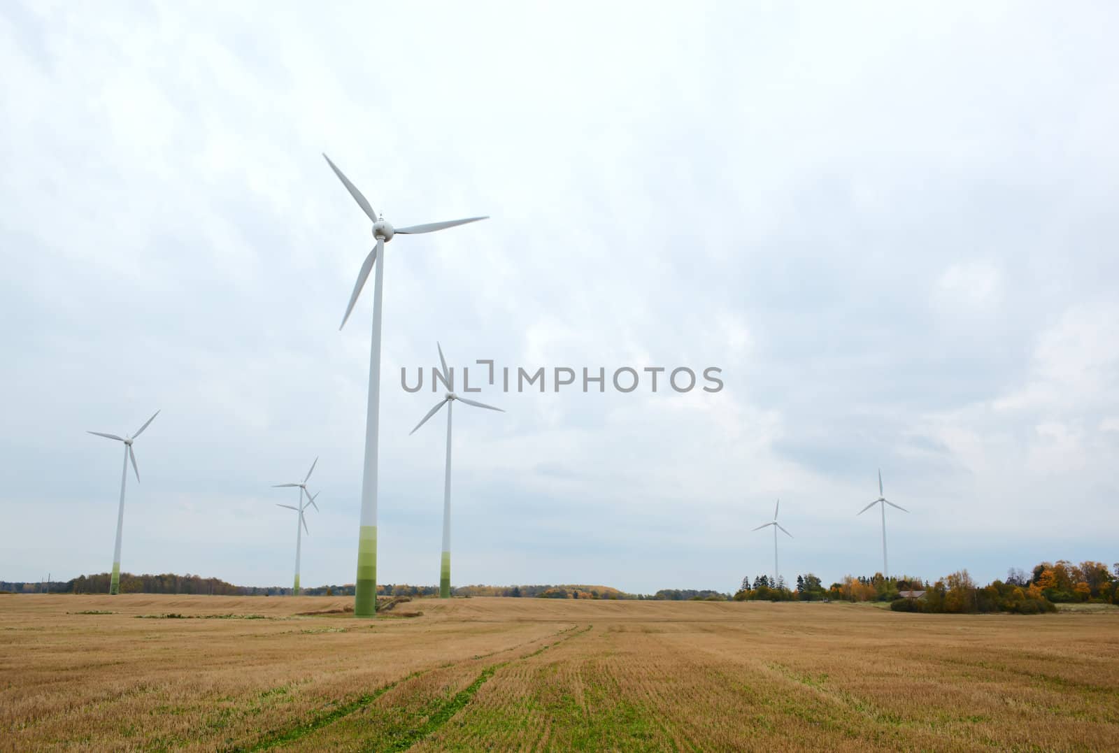 Many wind turbines. Go green!