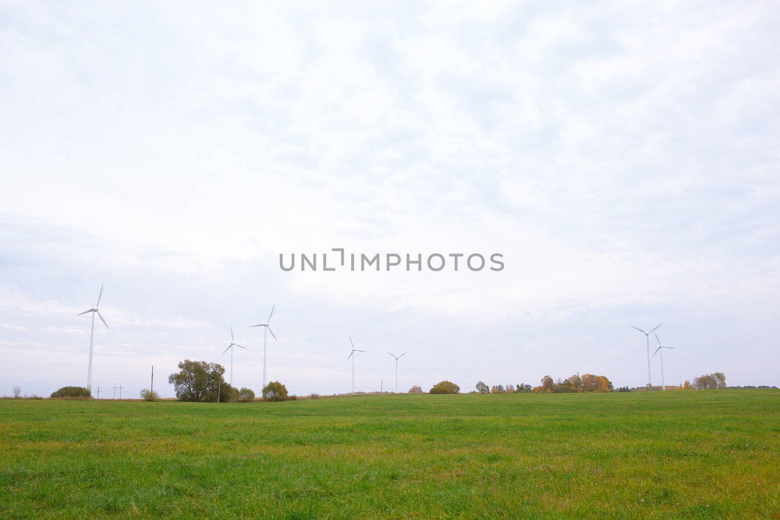 Wide shot of the wind turbines in the field.