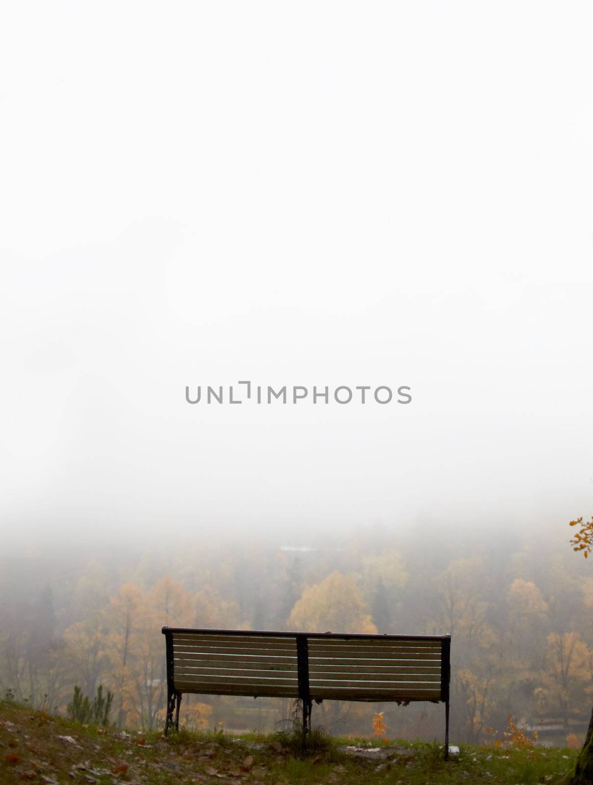 Bench at the top of the hill. The fog is coming. Toila, Estonia.