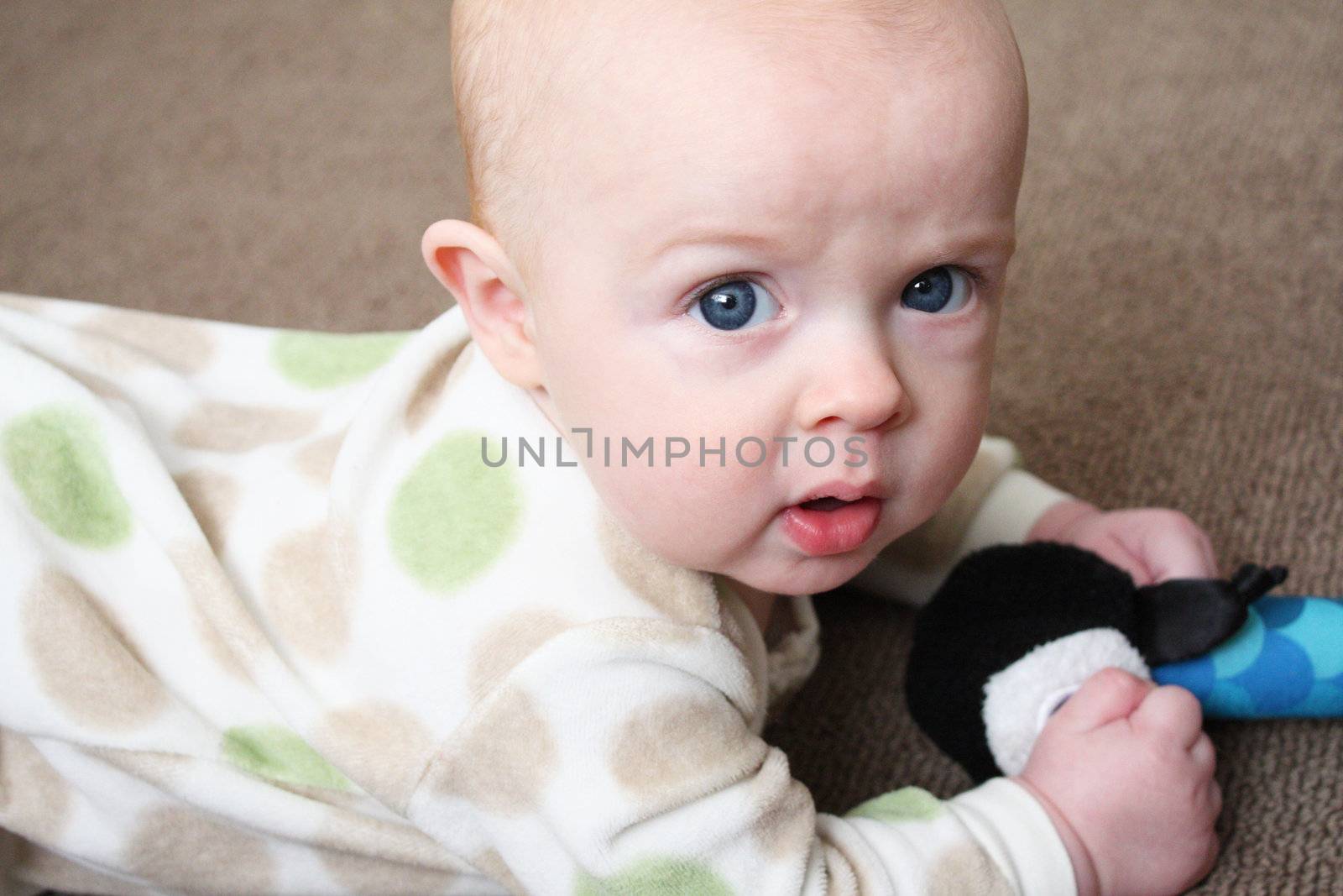 A baby playing on a brown carpeted floor with a penguin-shaped toy.