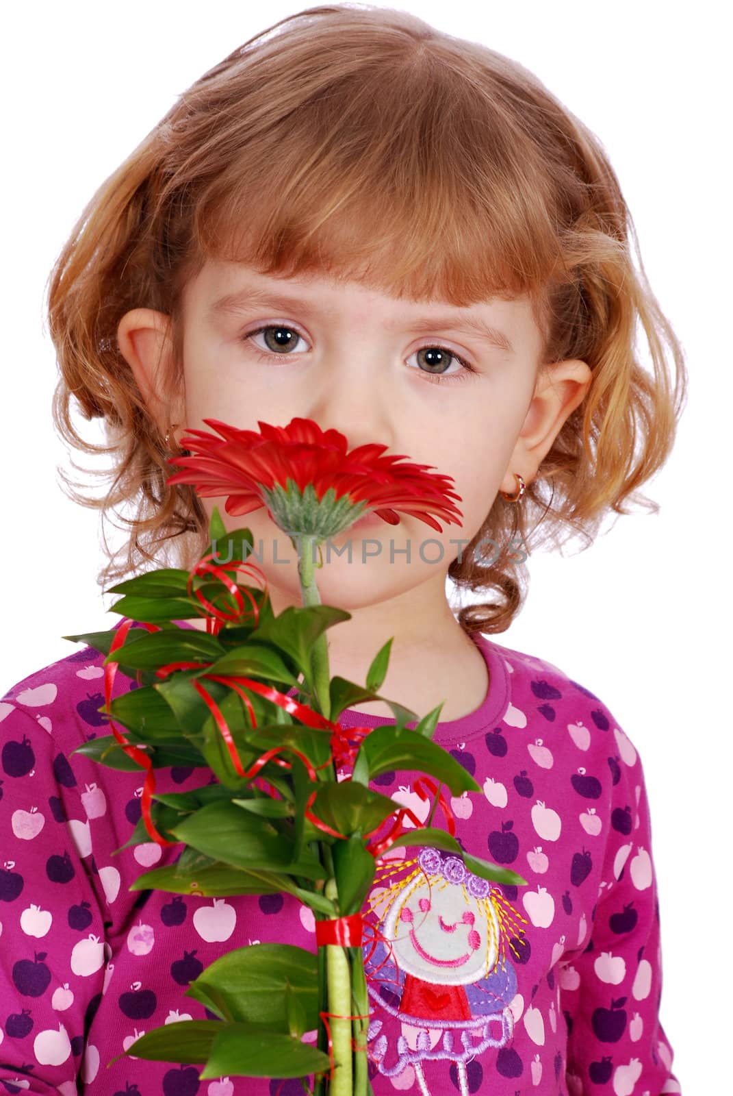 Little girl with red gerber flower studio shot