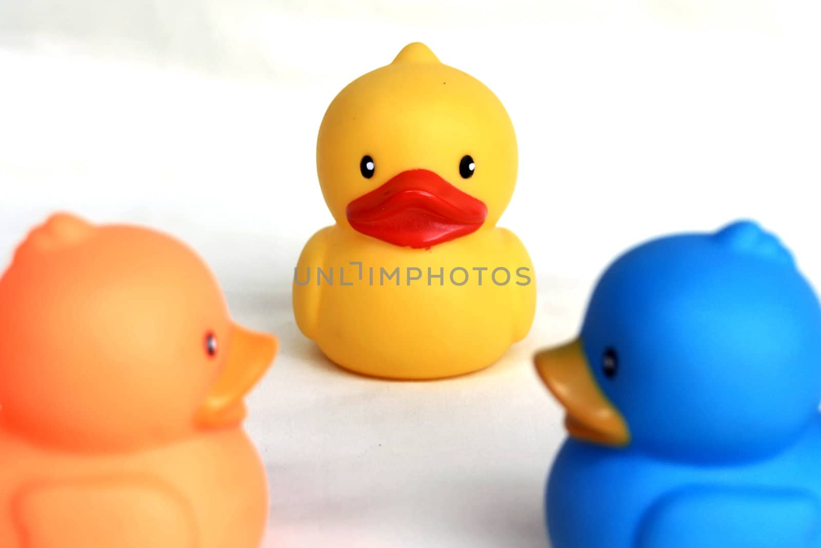 Duck toy