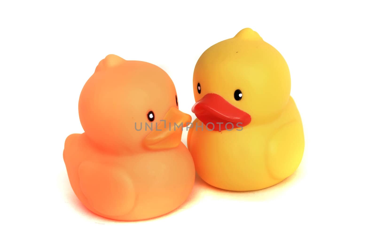 Duck toy