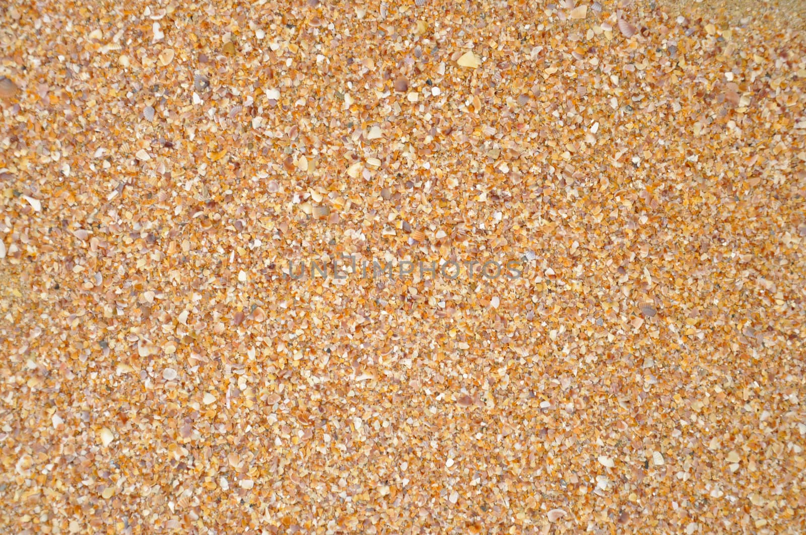 Sand and gravel on the beach.