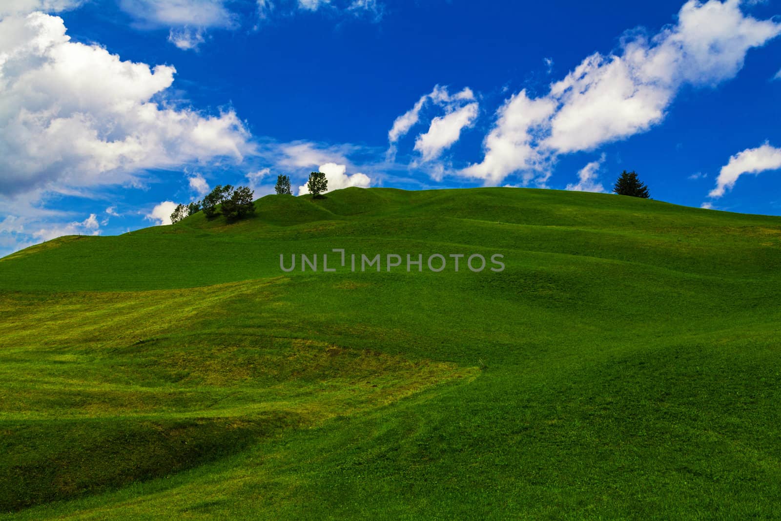 green hill and blue sky in landscape