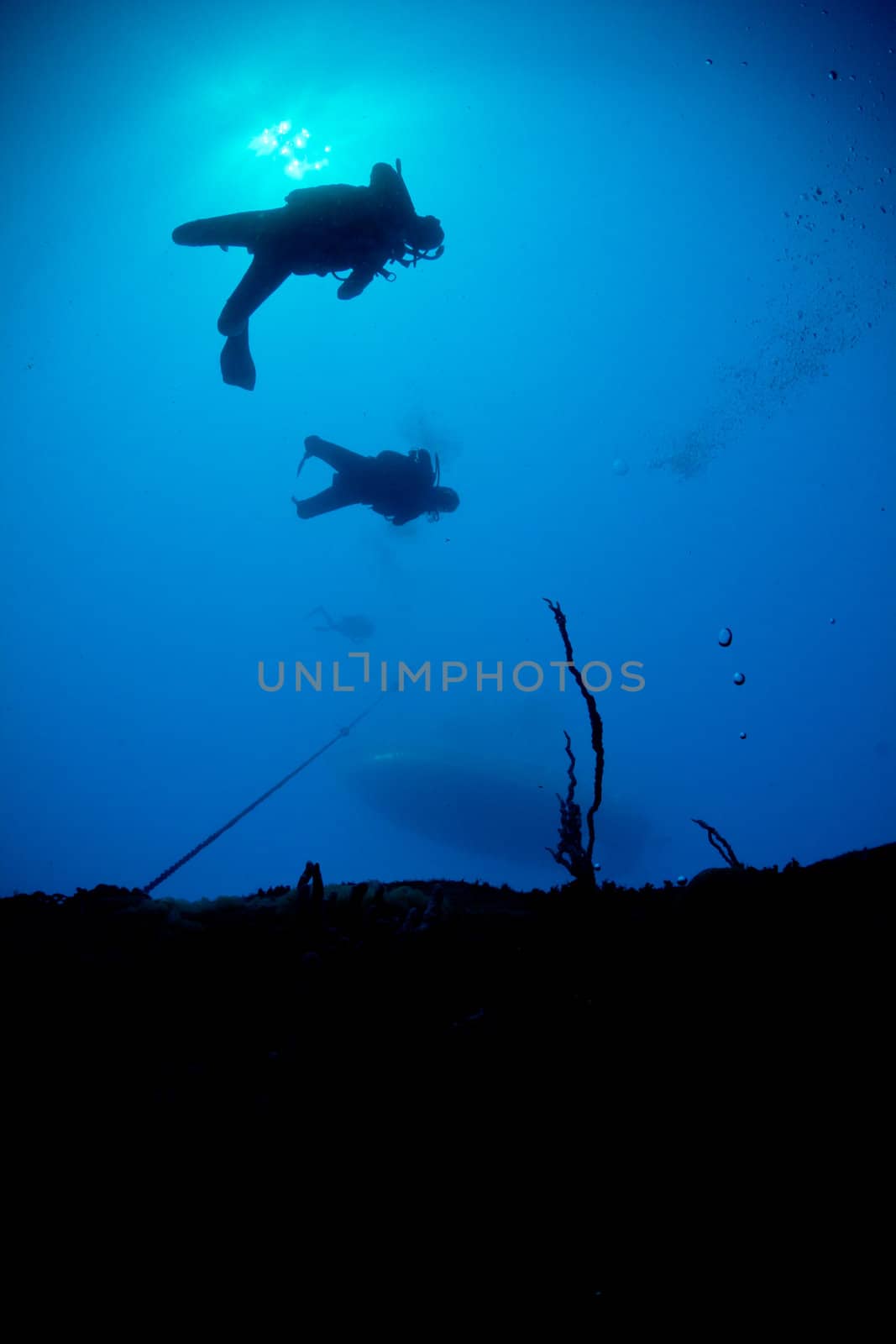 Silhouettes of scuba divers descending onto a wreck by MojoJojoFoto