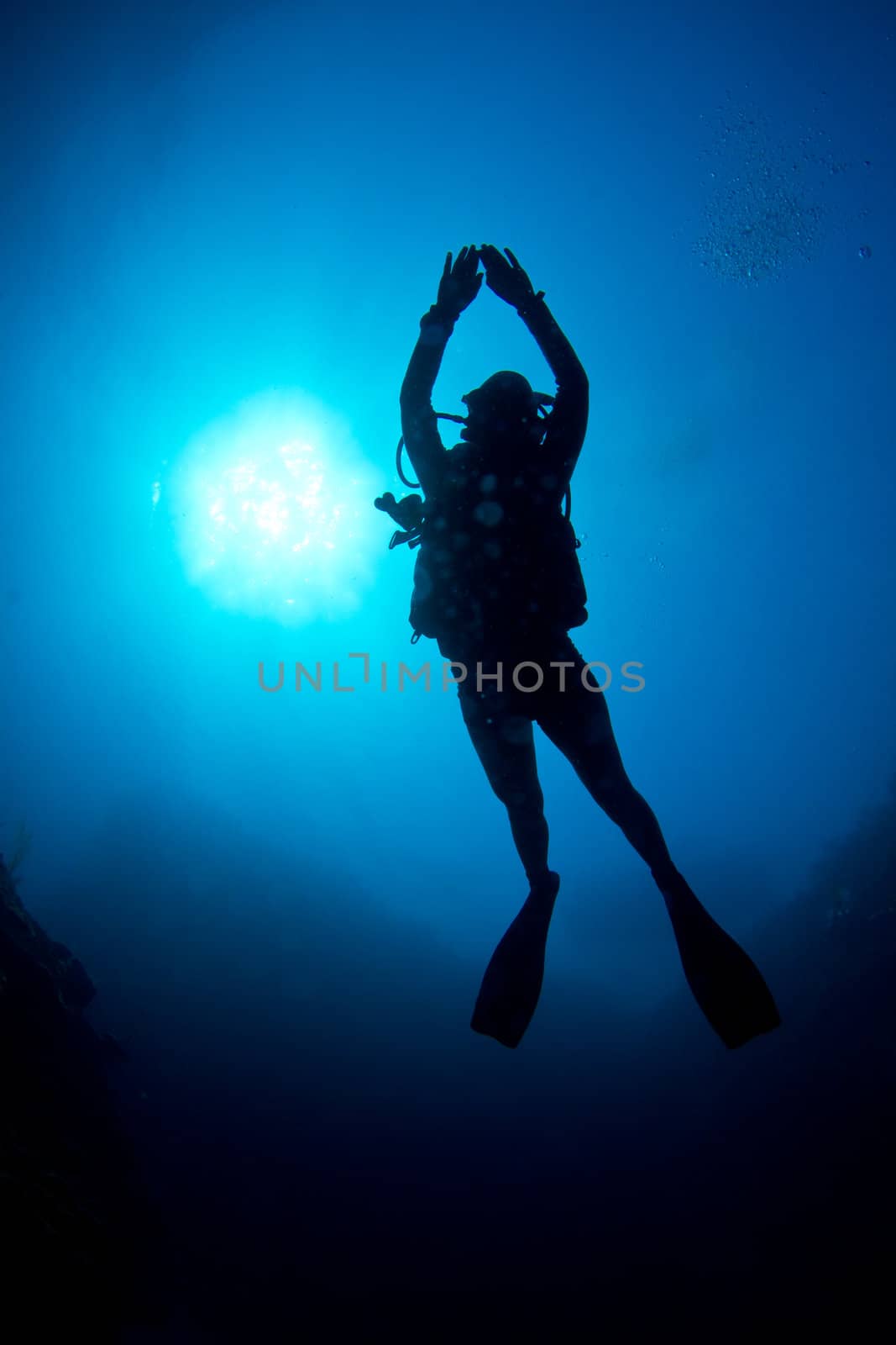 A Scuba diver enjoys the crystal clear waters of the Caribbean coast.