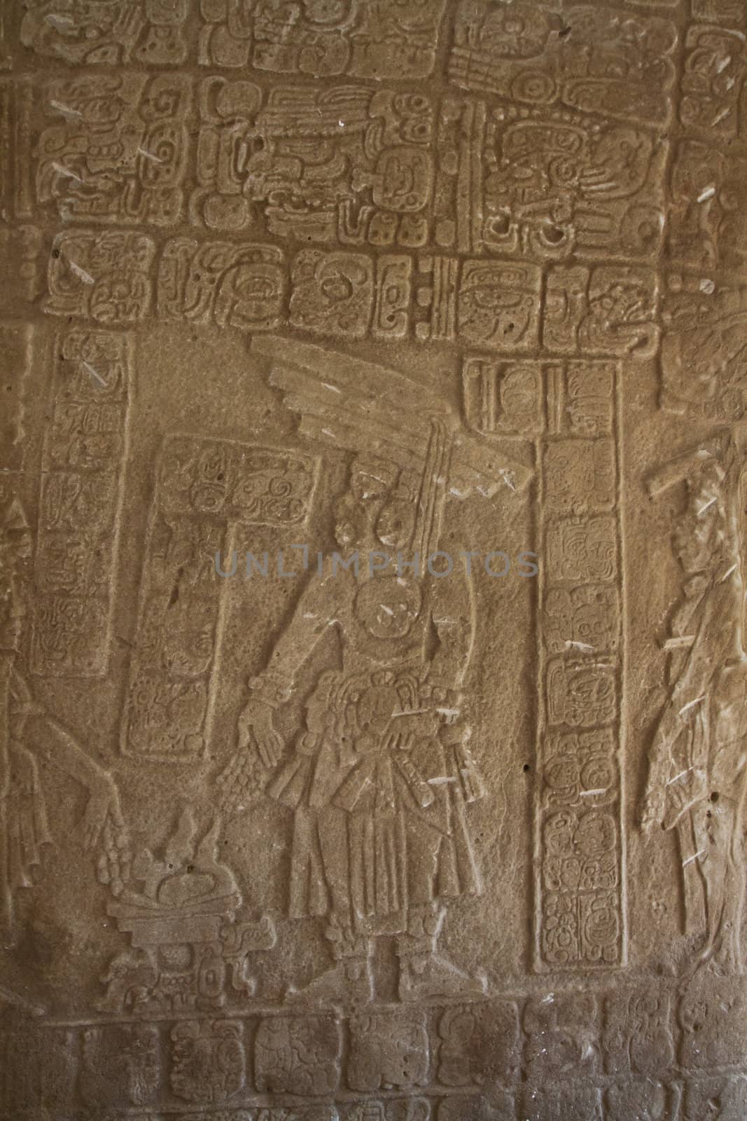 Ancient Mayan stone relief carving in Belieze.