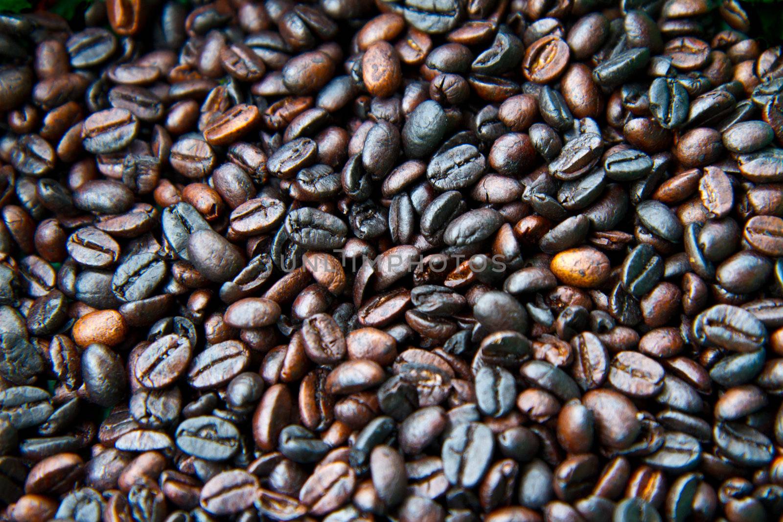 A collection of fresh roated coffee beans in Belieze.