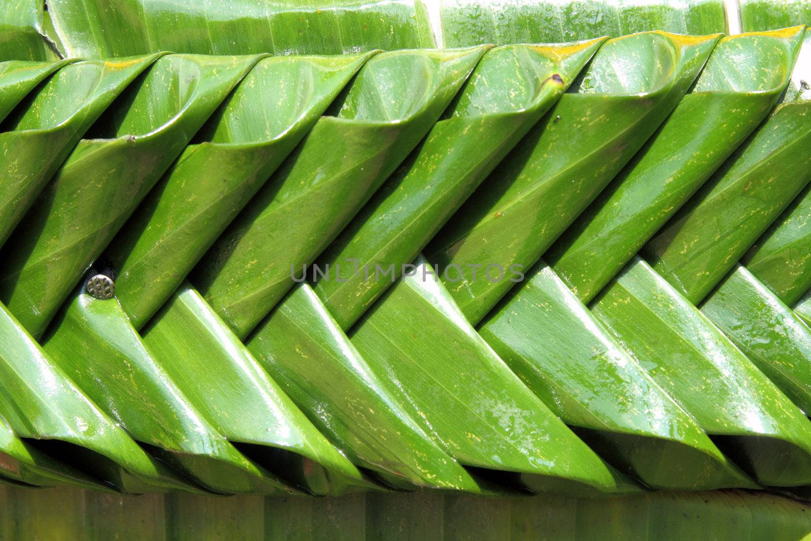 texture of banana leaf handmade in Kratong festival, Thailand by geargodz