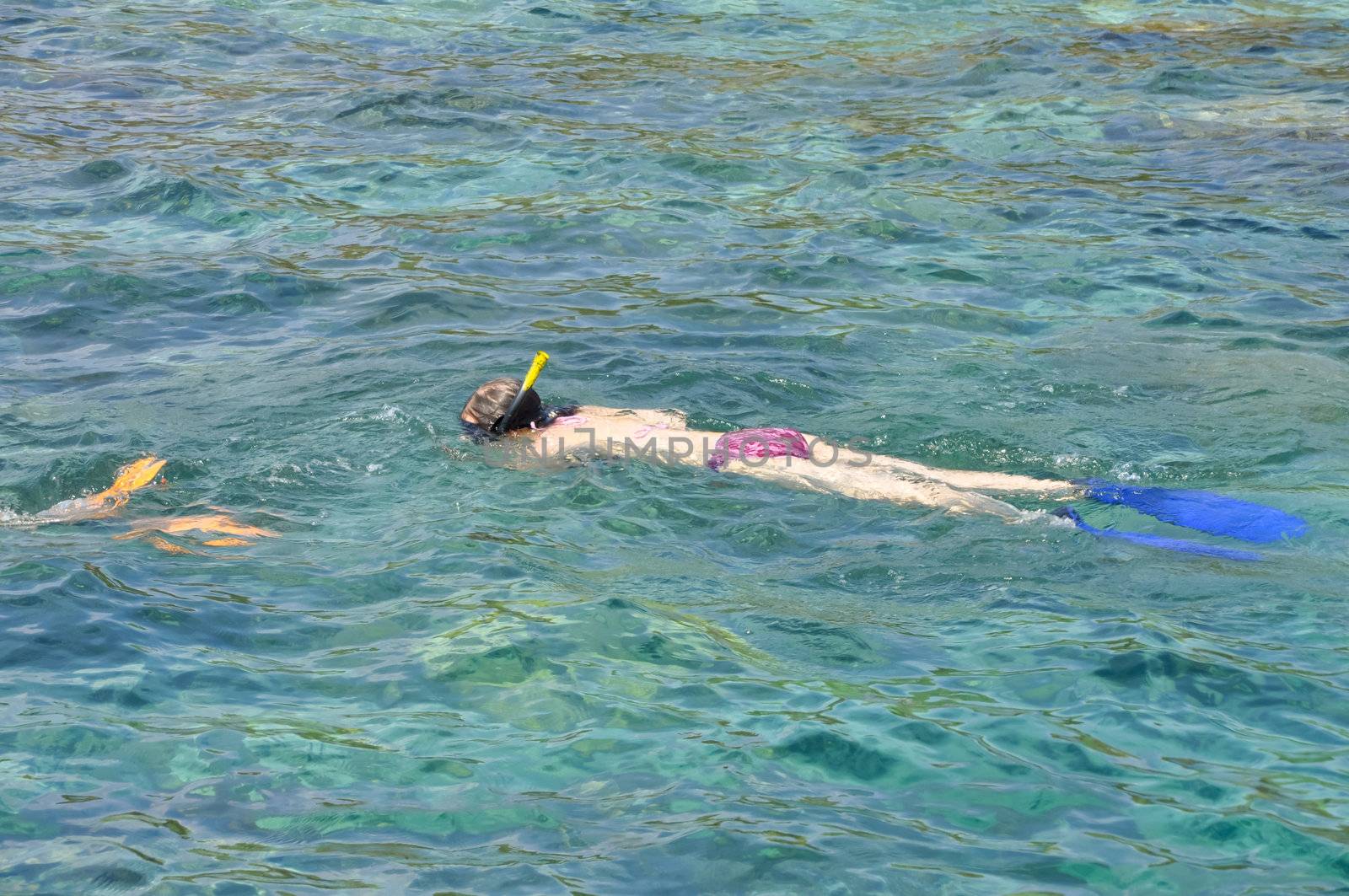 Active woman diving snorkeling in beautiful clean ocean on summer vacation at Chang island, Thailand