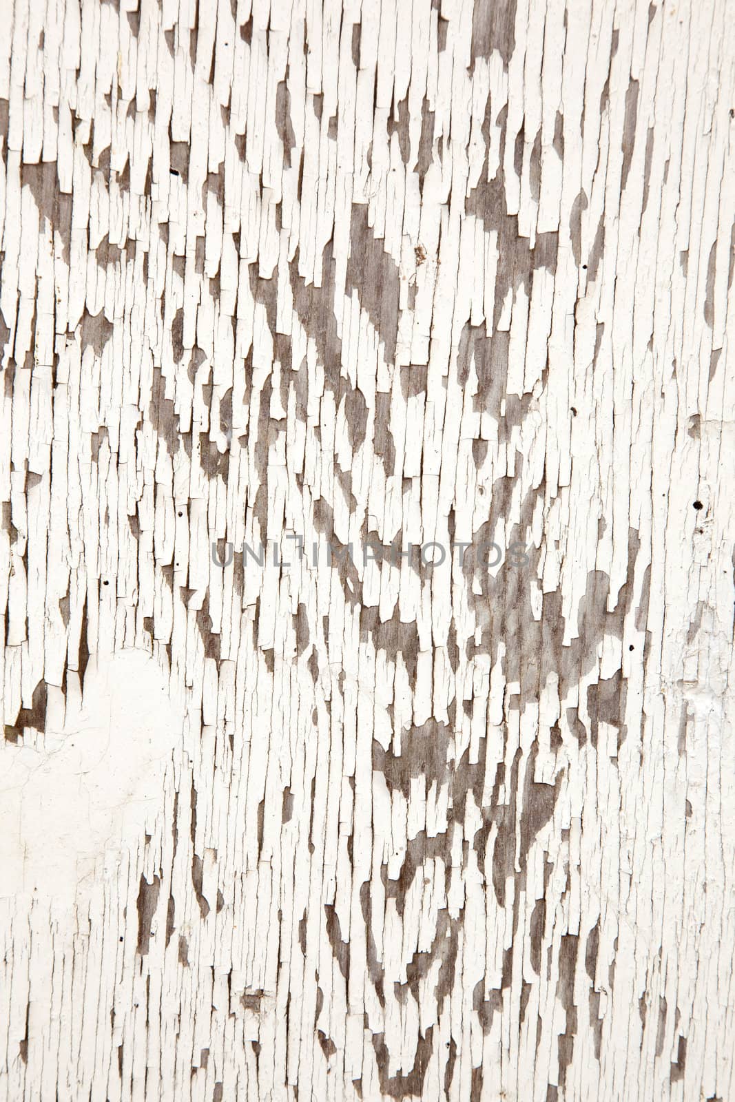 closeup of old weathered board with white paint