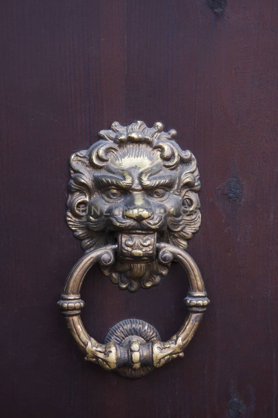 Ancient door knocker. Castle in Dubno. Ukraine