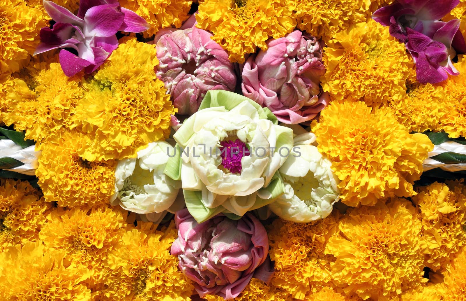 lotus, orchids, marigold for Loy Krathong festival, Thailand by geargodz