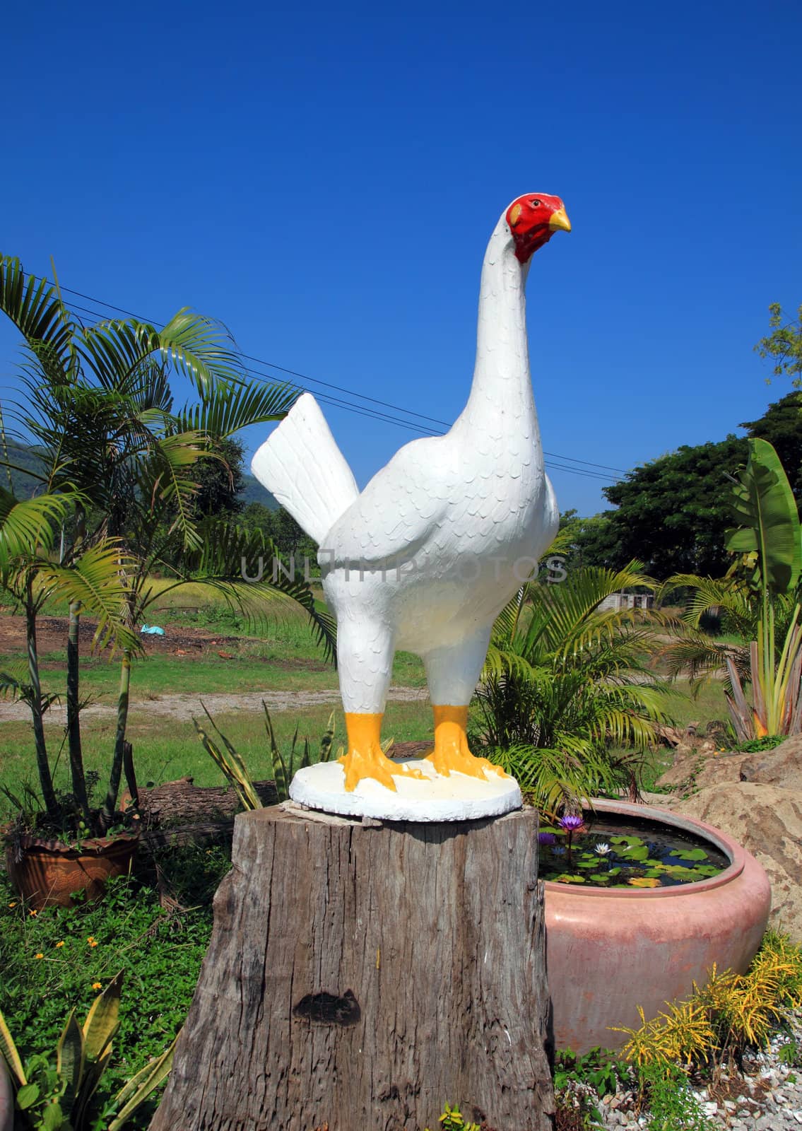 Large white stone chicken statue by geargodz