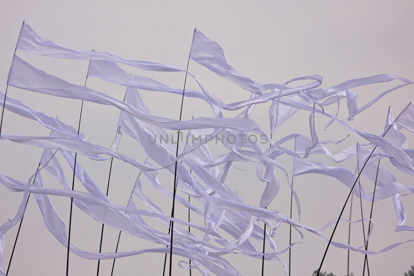 Flags streamed by the wind at the entrance to a festival