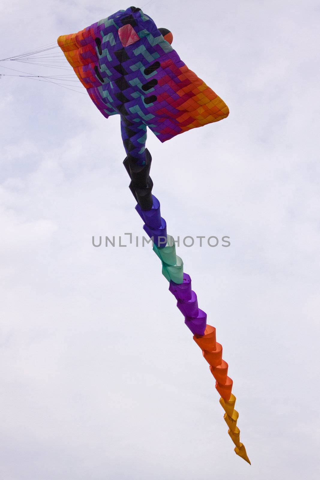 Colourful kite riding high