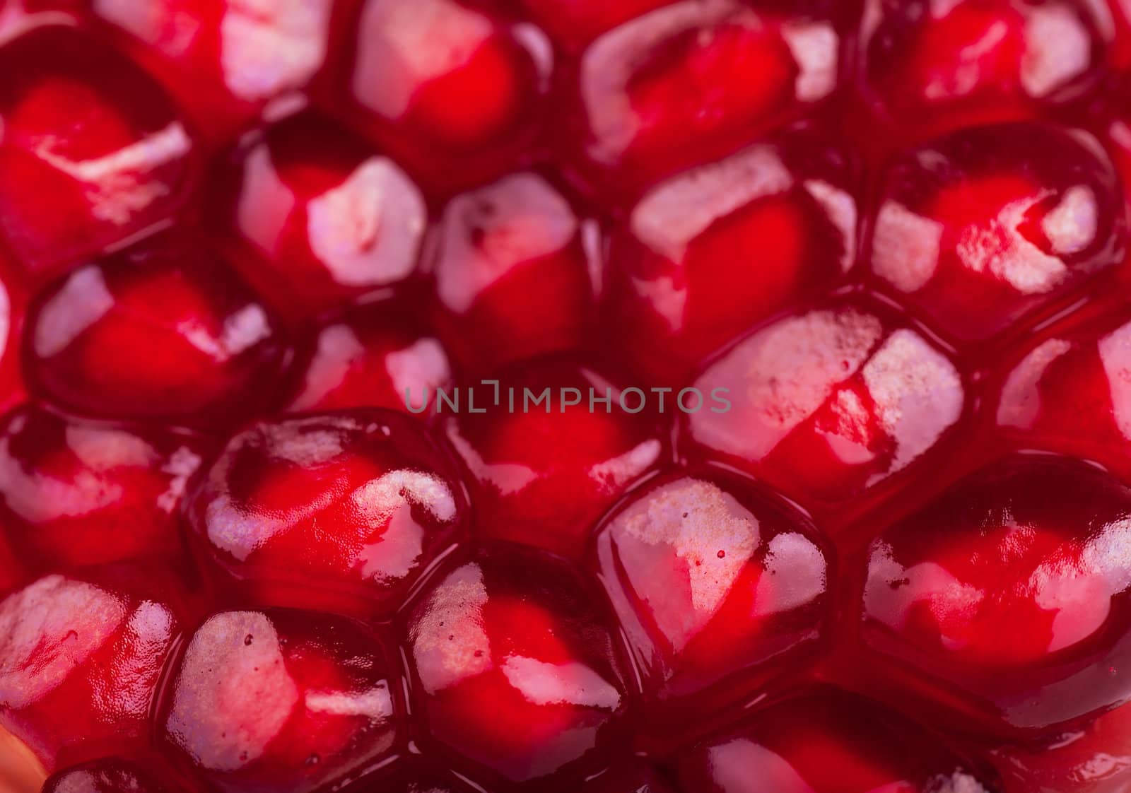 Seeds of pomegranate by AGorohov
