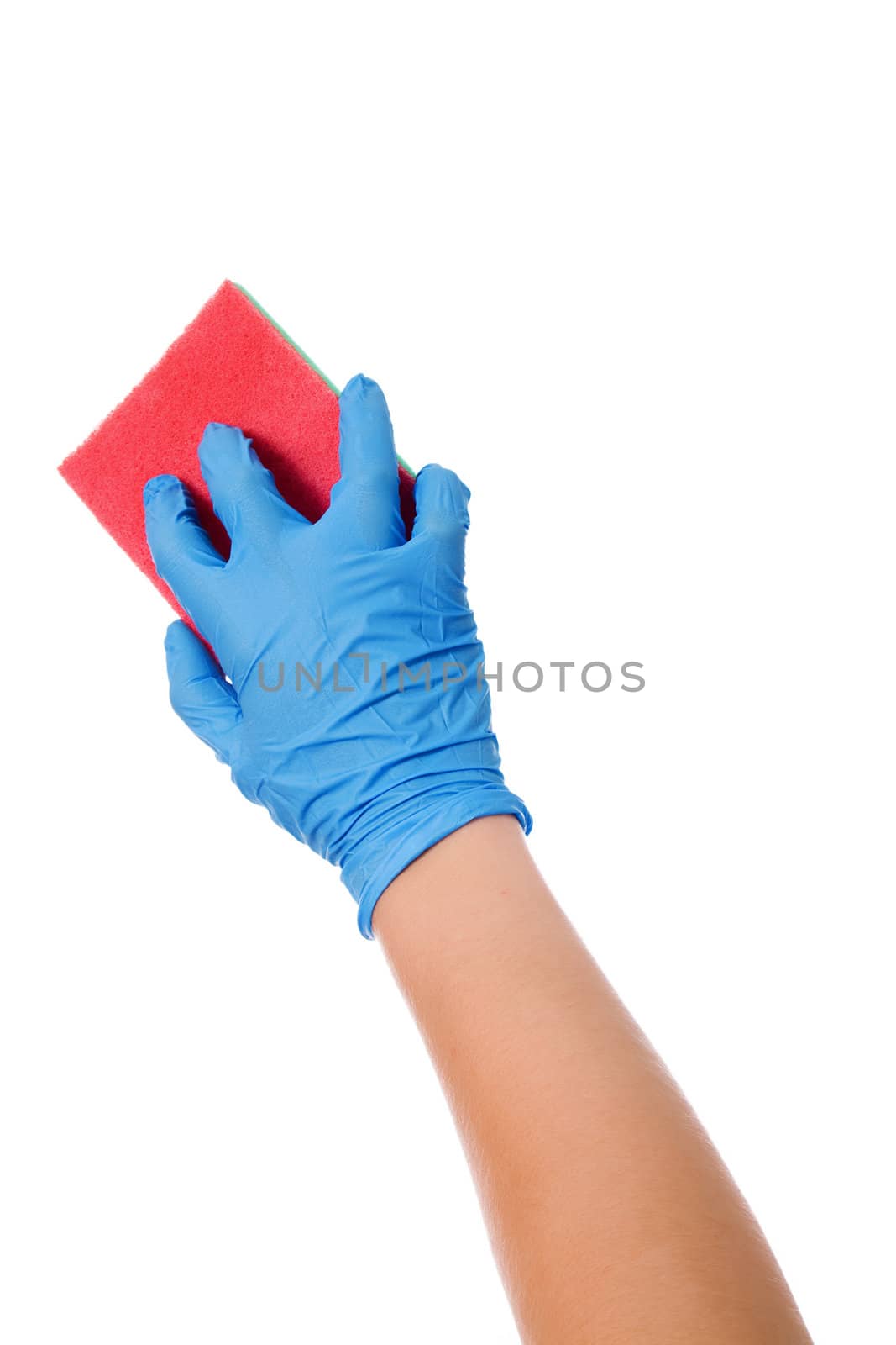 Hand in blue glove with sponge isolated on white background