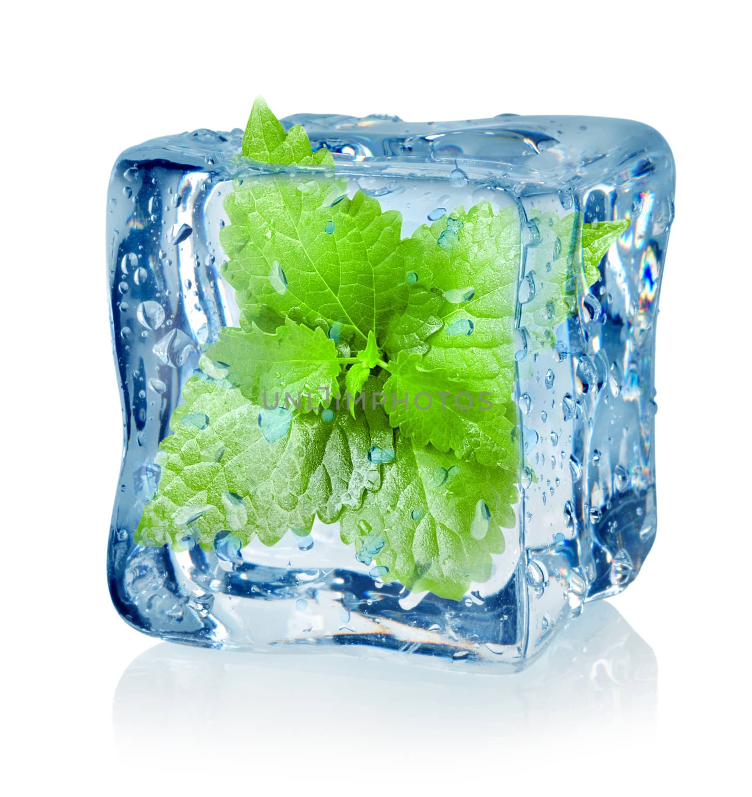 Ice cube and mint isolated on a white background