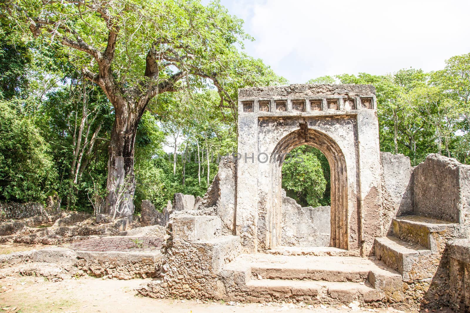 Gede ruins in Kenya are the remains of a Swahili town, typical of most towns along the East African Coast