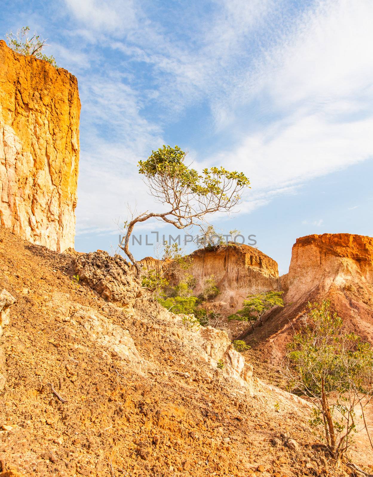 Wonderful orange colors at sunset in Marafa Canyon - also said The Hell's Kitchen. Malindi region, Kenya