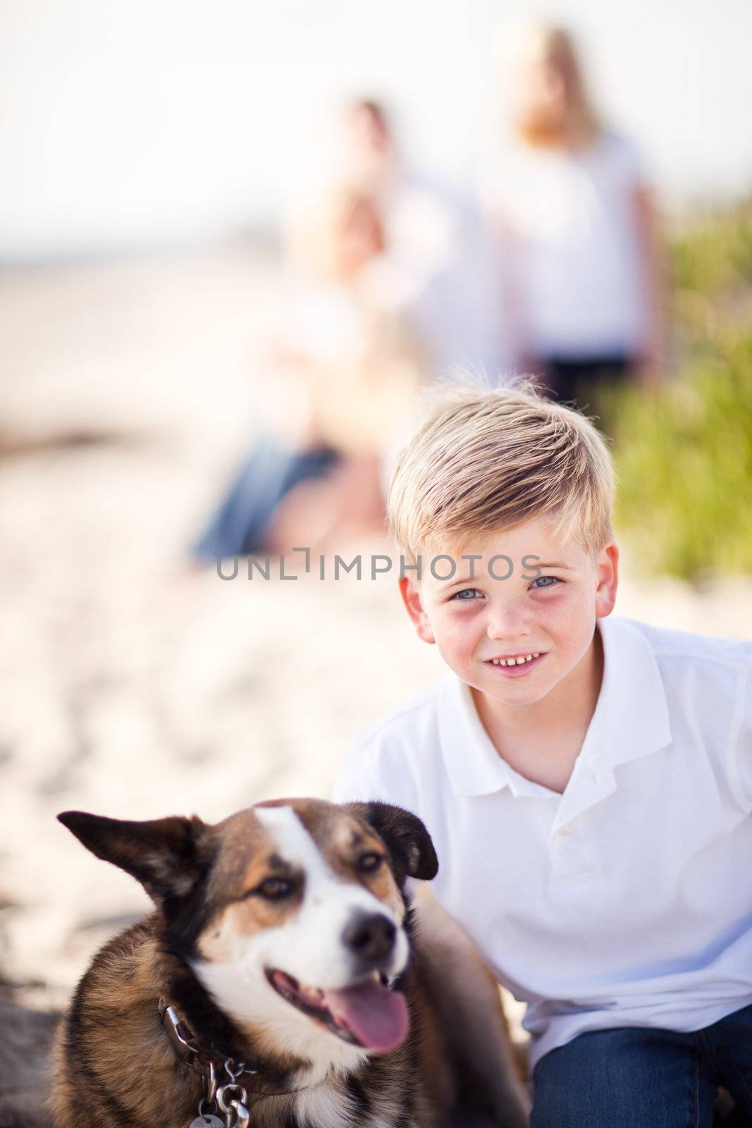 Handsome Young Boy Playing with His Dog at the Beach.
