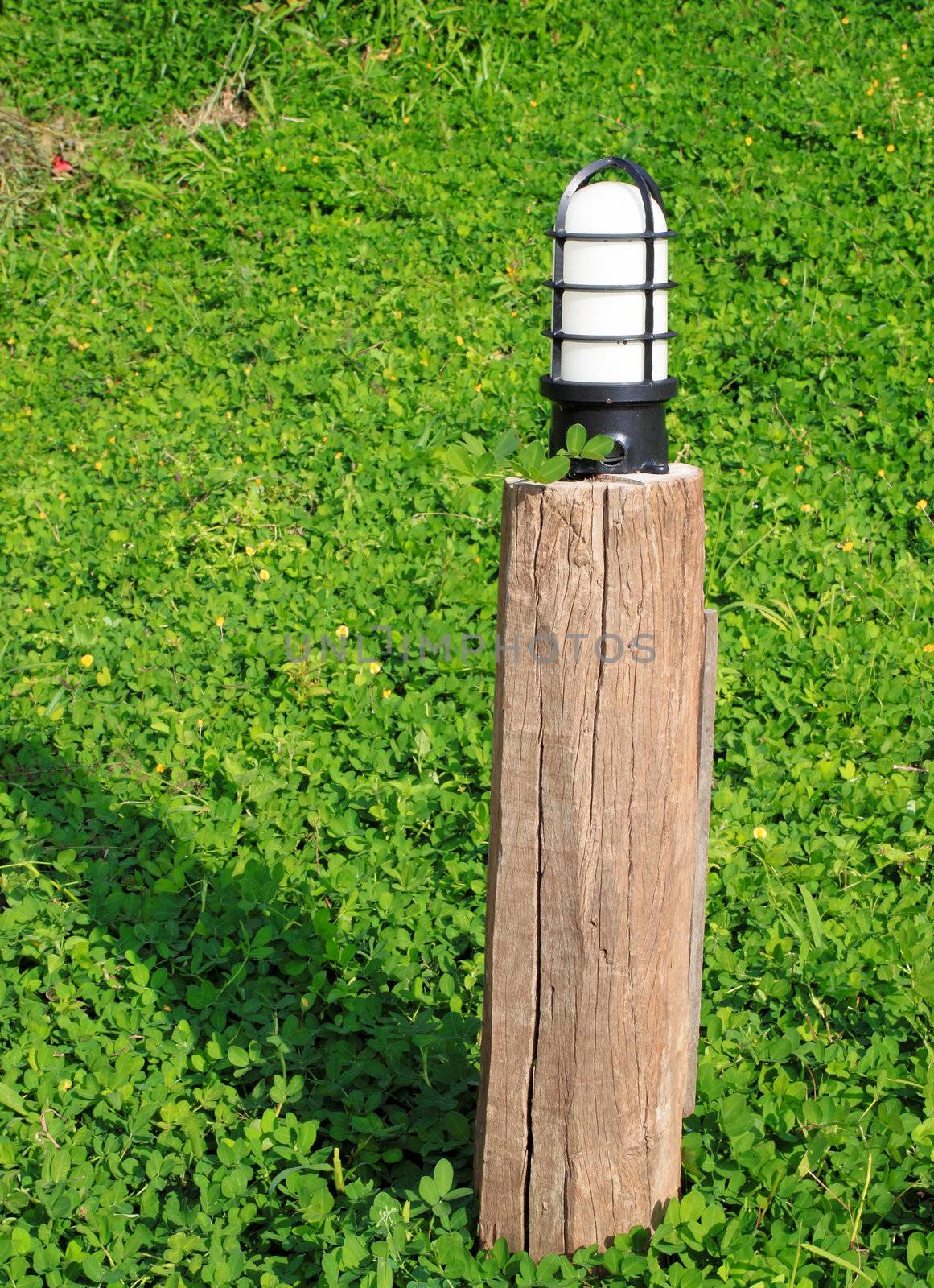 garden lamp on the background of green grass
