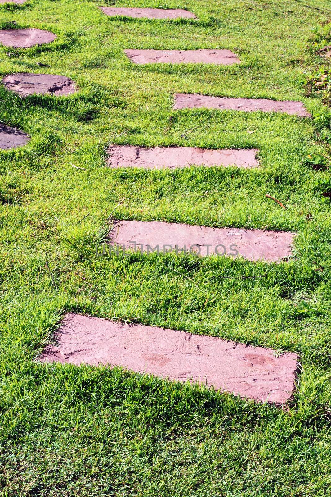 stone walkway line in the garden