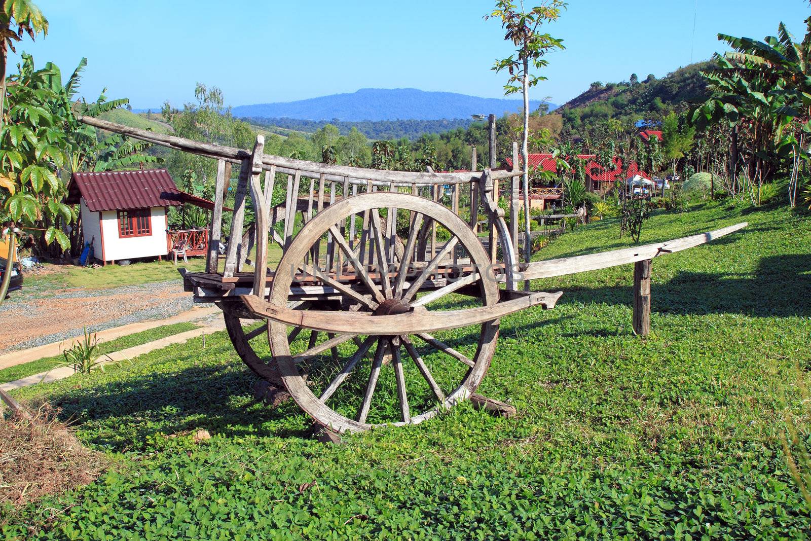 Thais classic vehicles