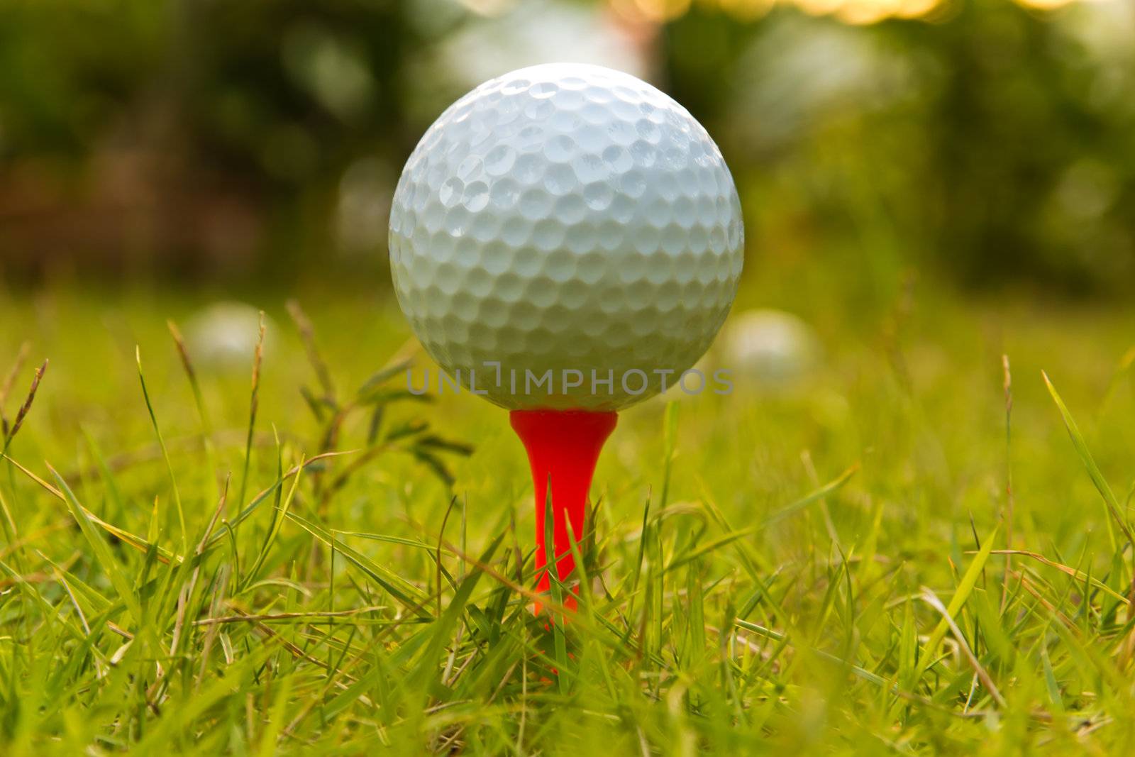 Golf ball on tee by dommon44