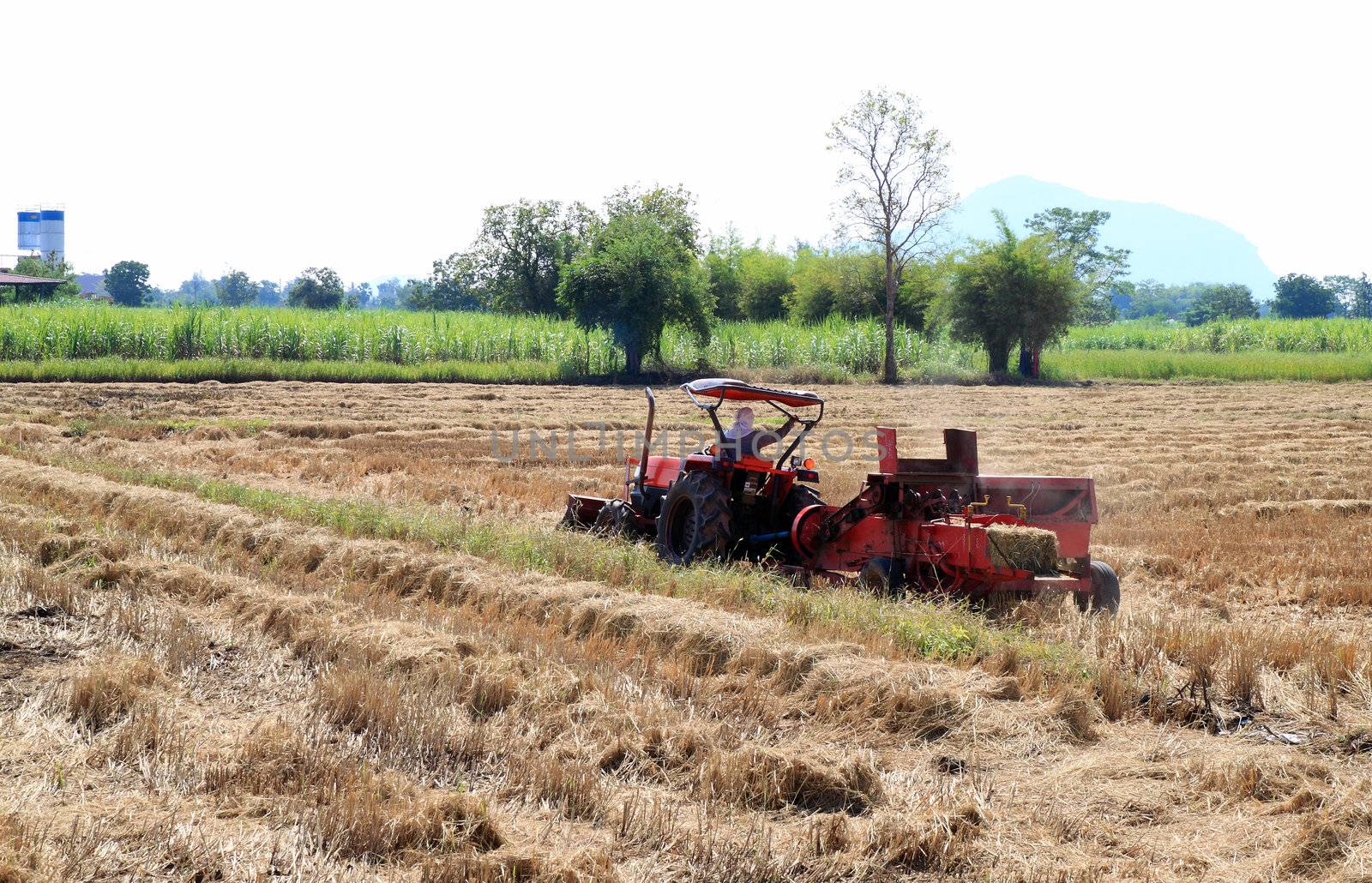 farmer and tractor packing straw in the field at Thailand by geargodz