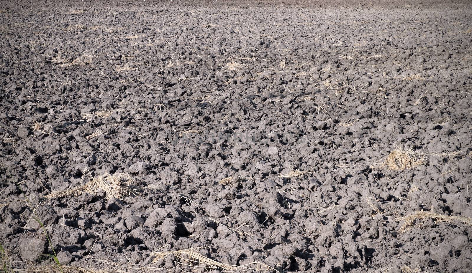 fertile, plowed soil of an agricultural field by geargodz