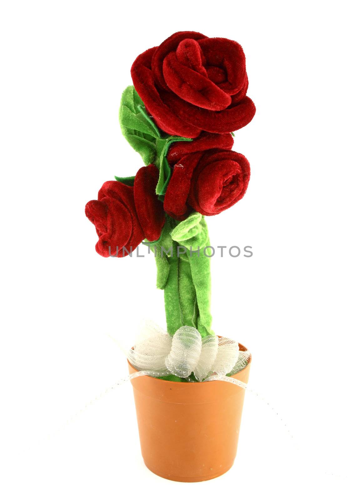 Rose made from wool fabric on white background