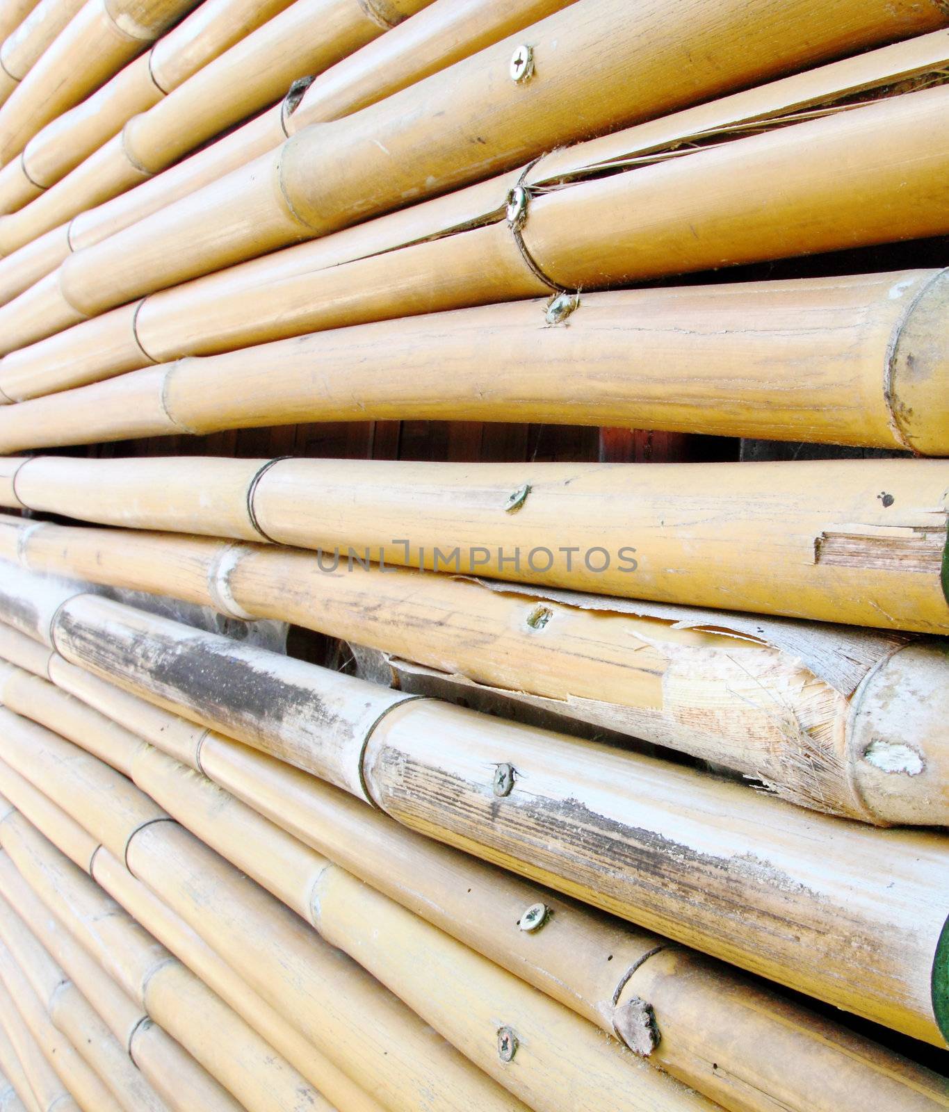 bamboo fence texture